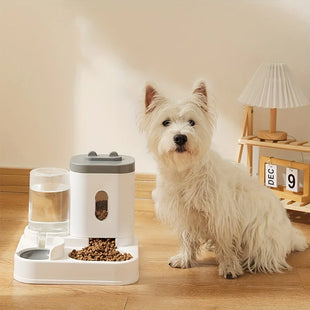 Pet Feeder and Water Dispenser for Dogs and Cats