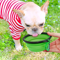 portable Dog And Cat Feeding/Water Bowl