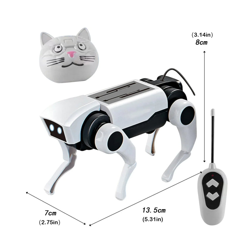 Rc Robot Pet