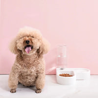 Double Dog and Cat Food Bowl Set