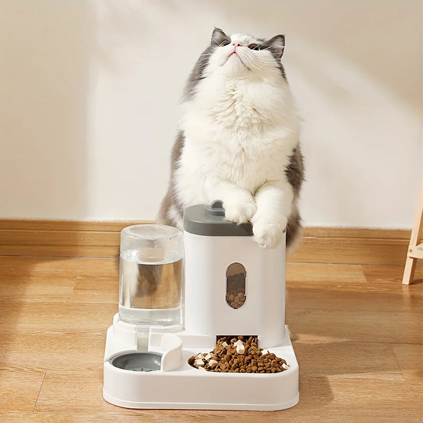 Pet Feeder and Water Dispenser for Dogs and Cats