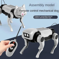 Rc Robot Pet