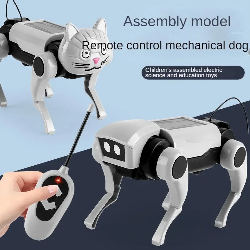 Rc Robot Pet