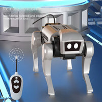 Rc Robot Pet