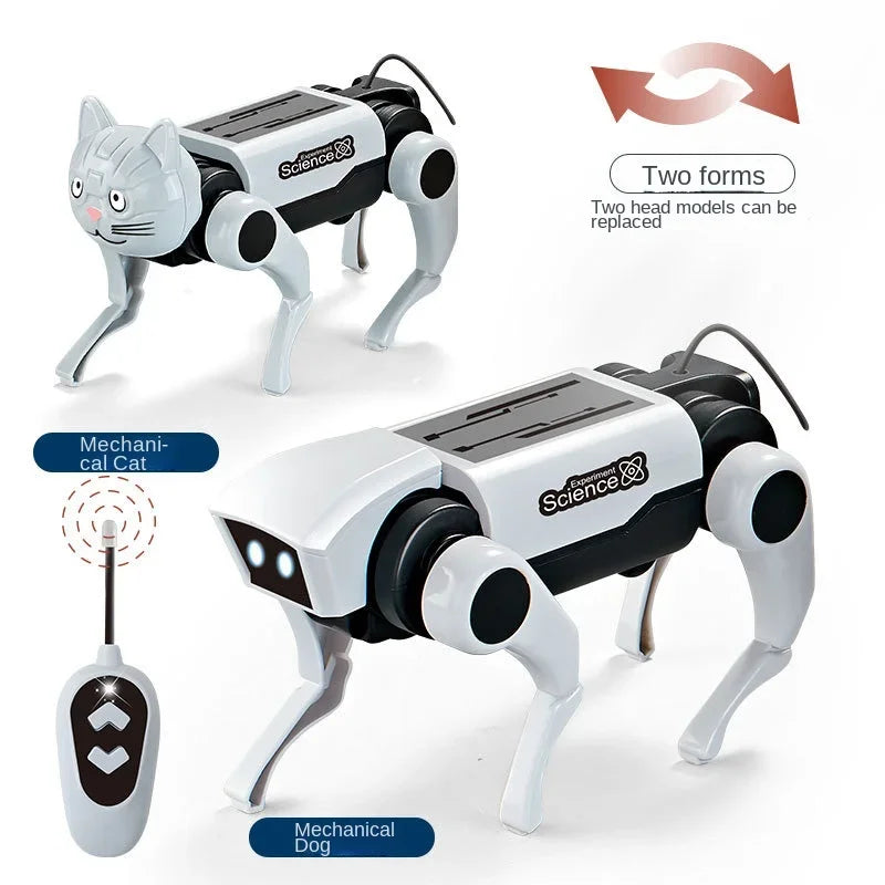Rc Robot Pet