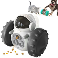 Dog Food Dispenser