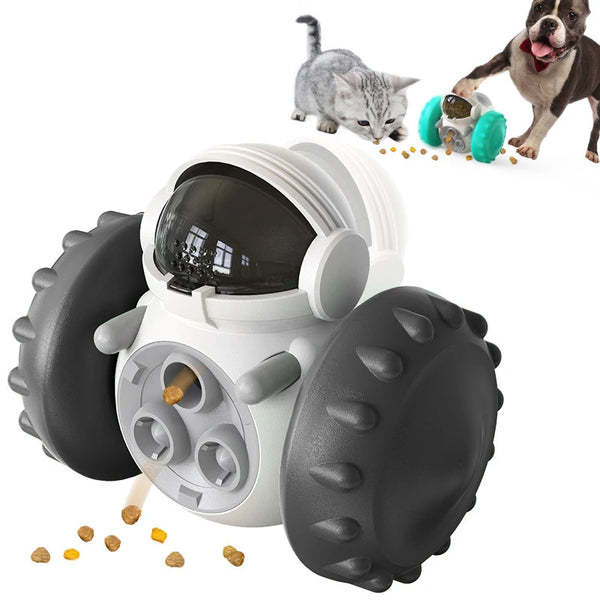 Dog Food Dispenser