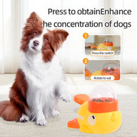 Dog Puzzle Treat Dispenser