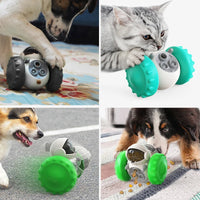 Dog Food Dispenser
