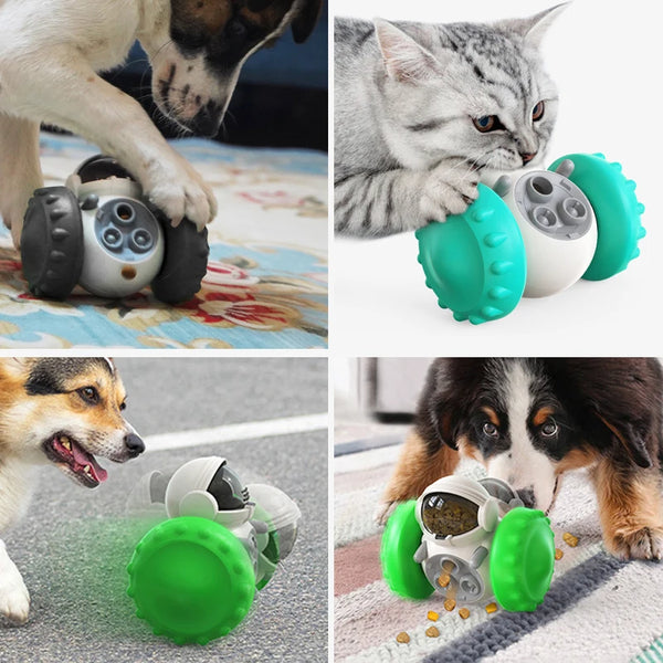 Dog Food Dispenser