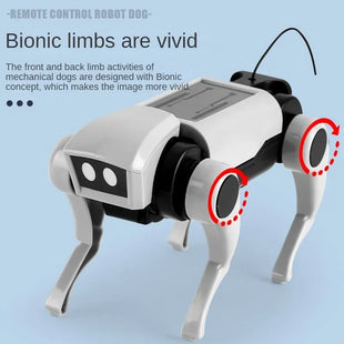 Rc Robot Pet