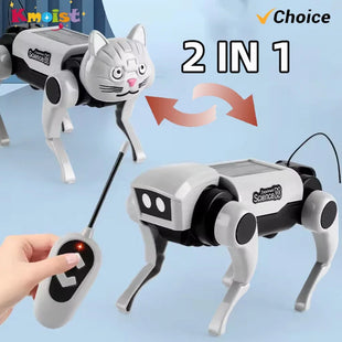 Rc Robot Pet